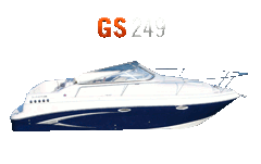 gs249painike