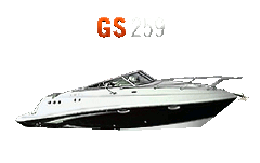 gs259painike