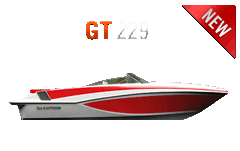 gt229painike